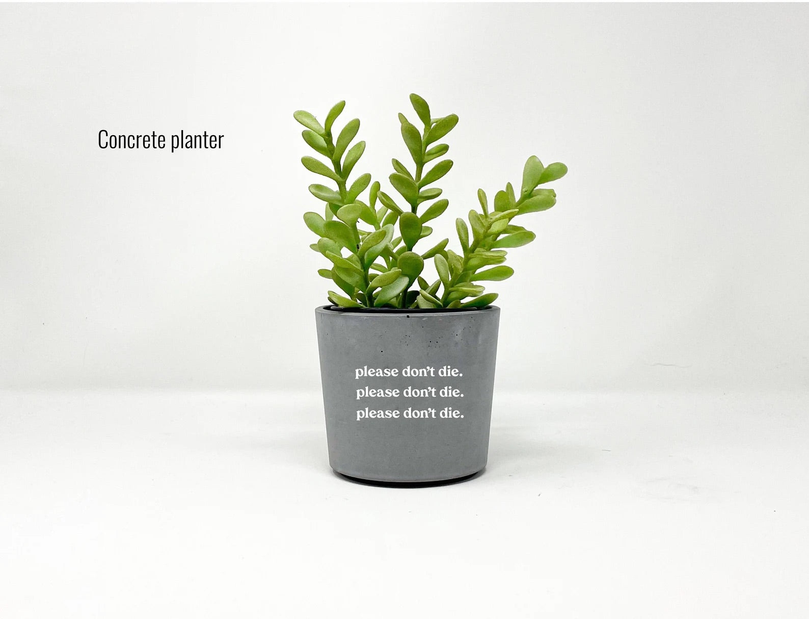 please don't die plant pot Please Don't Die