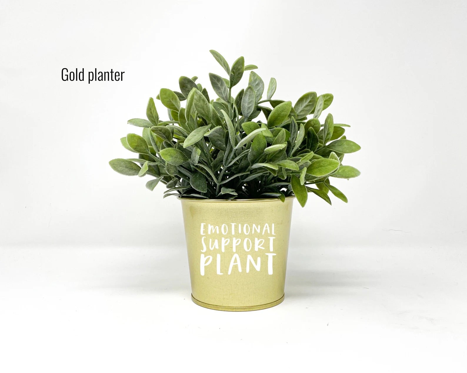 emotional support plant pot Emotional Support Plant